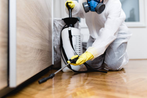 Best Flea Control Services  in Marrero, LA
