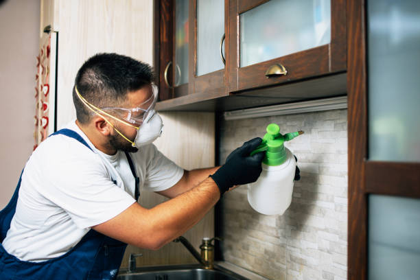 Best Affordable Pest Control Services  in Marrero, LA
