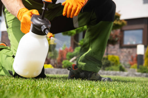 Best Pest Removal Services  in Marrero, LA