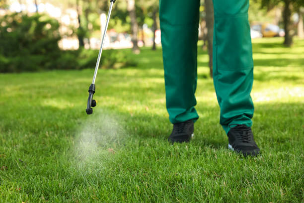 Best Wasp Removal Services  in Marrero, LA