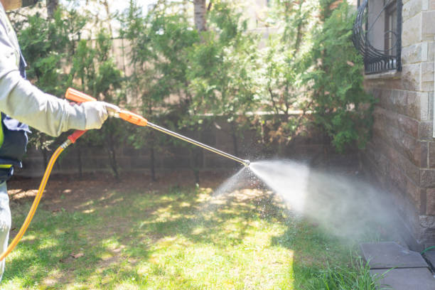 Best Best Pest Control Companies  in Marrero, LA