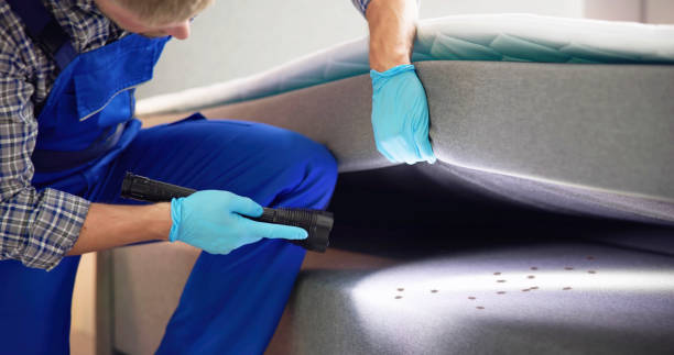 Trusted Marrero, LA Pest Control Experts