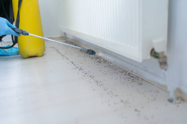 Best Pest Prevention Services  in Marrero, LA