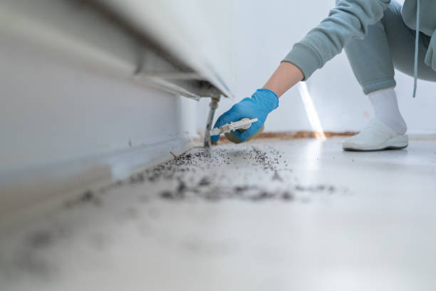 Best Rat Extermination Near Me  in Marrero, LA